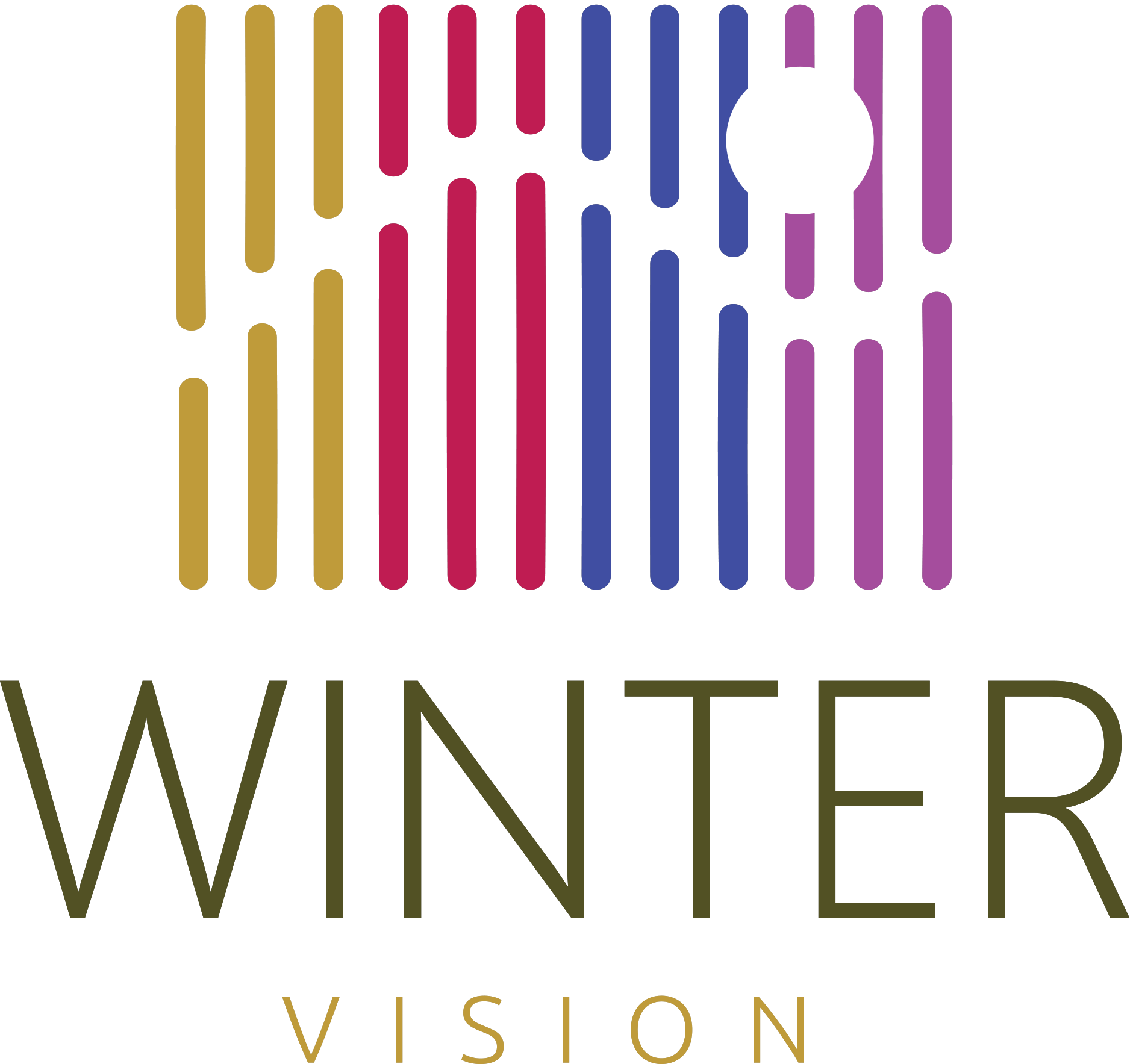 Winter Vision